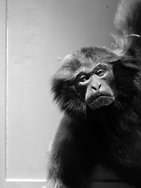 natura docet denekamp 5-2022 2229